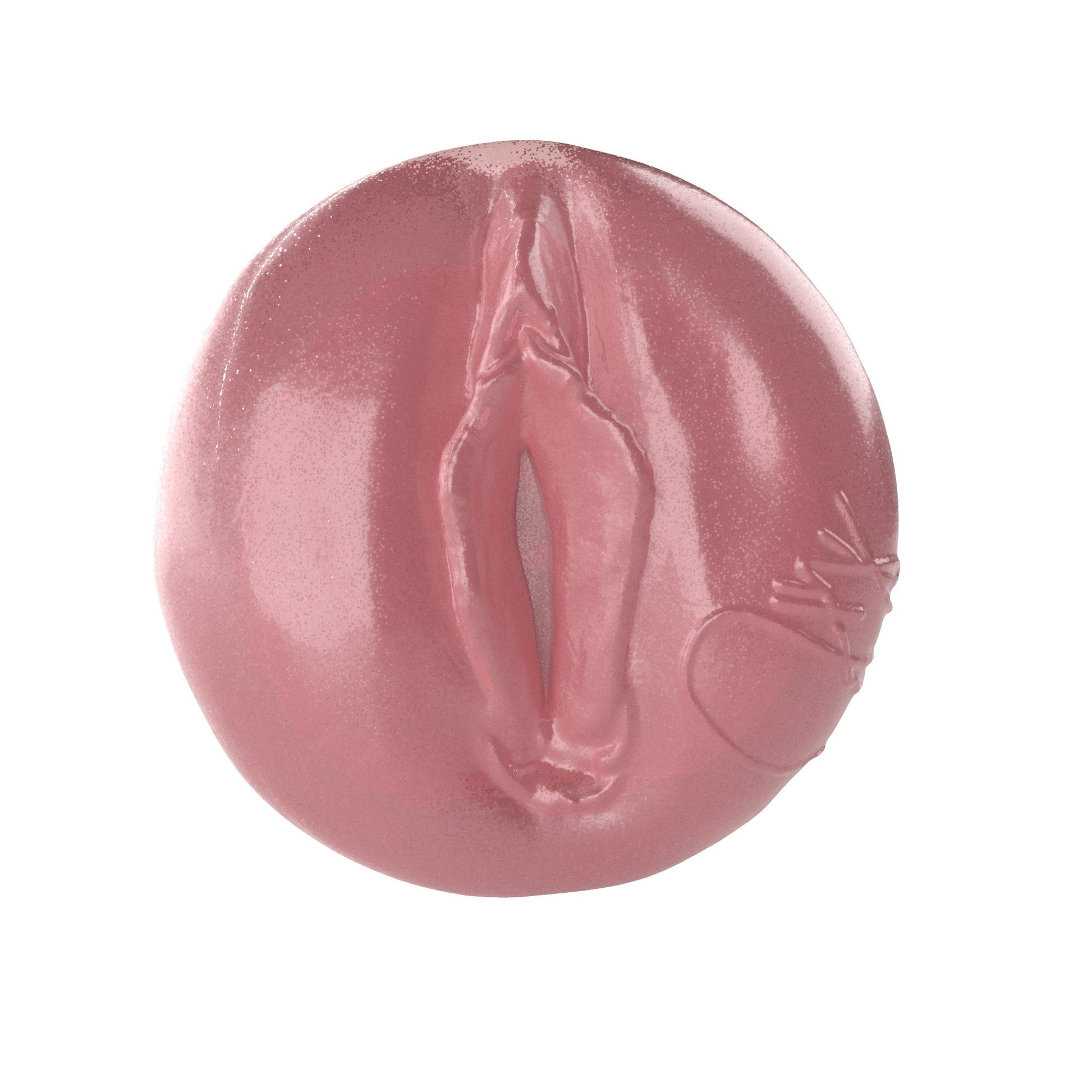 Jenna Haze Birthday Cake Edition Reverse Obsession With case Fleshlight