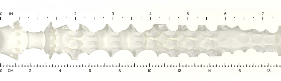 LadyTexture-Ruler-JessicaDrak.jpg