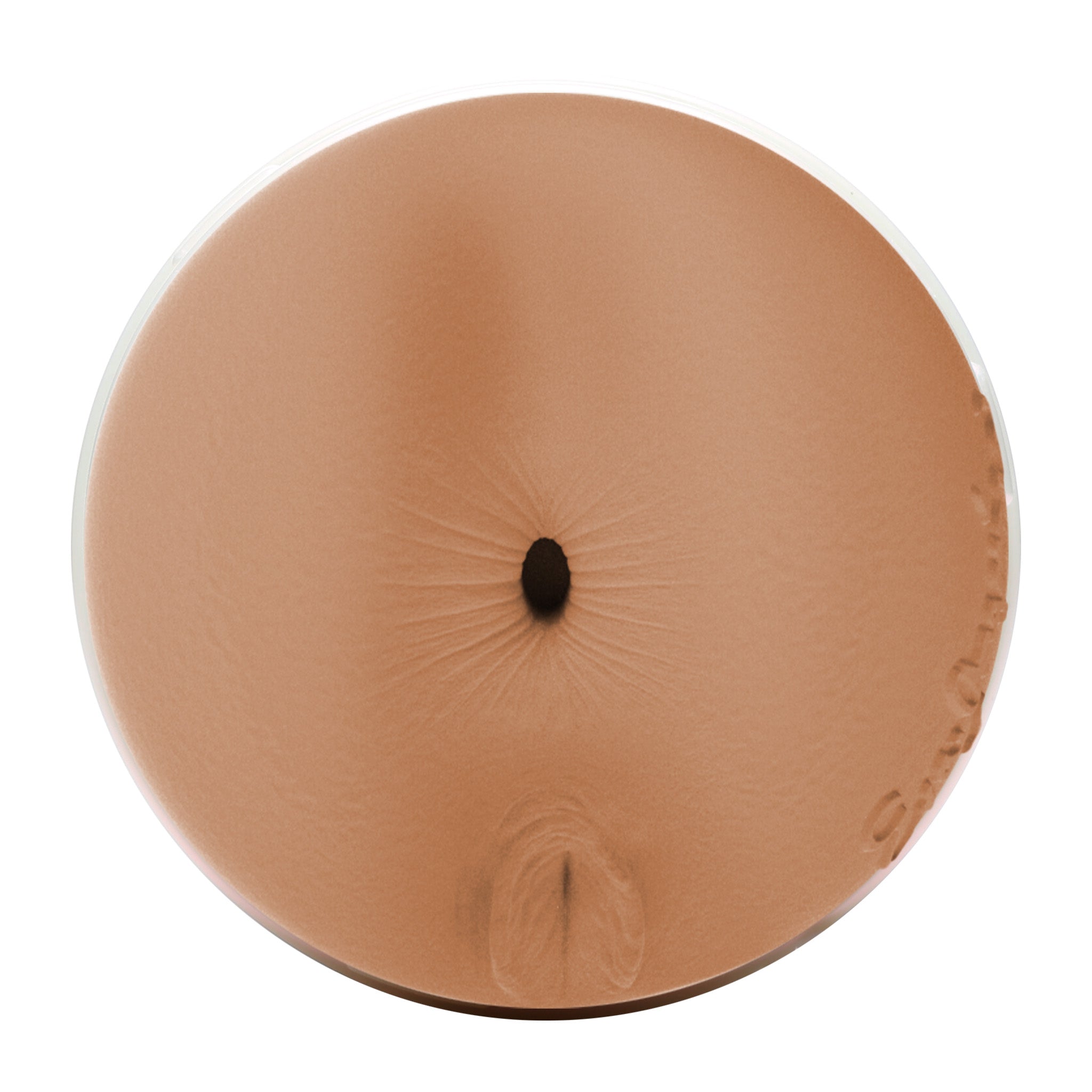 Eva Angelina Fleshlight Adrenaline (Butt) With Case Fleshlight